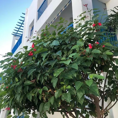 Blue Tasteful Complex Pool View Apartament *