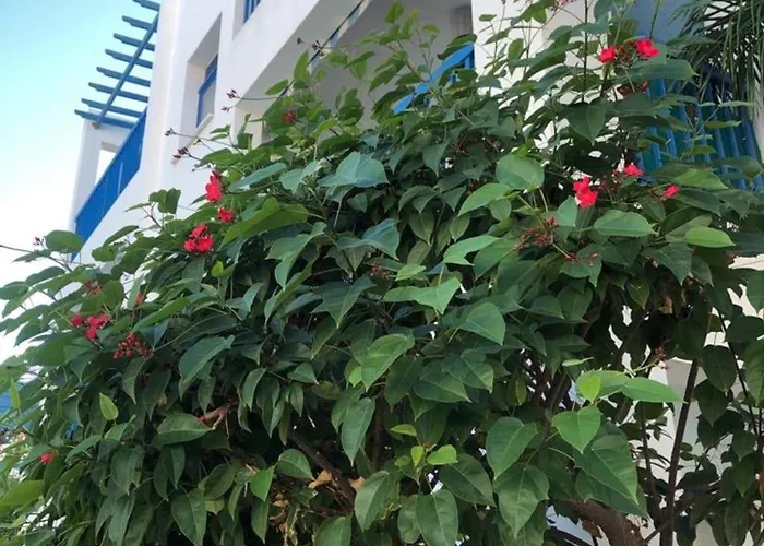 Blue Tasteful Complex Pool View アパート *